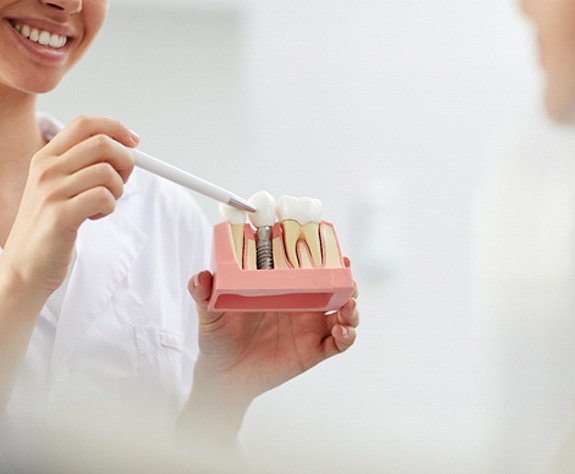 A dentist holding a tooth model while talking with their patient